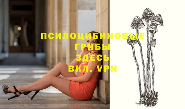 не бодяженный Армянск
