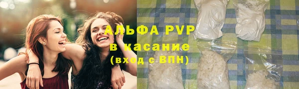 эйфоретик Аркадак
