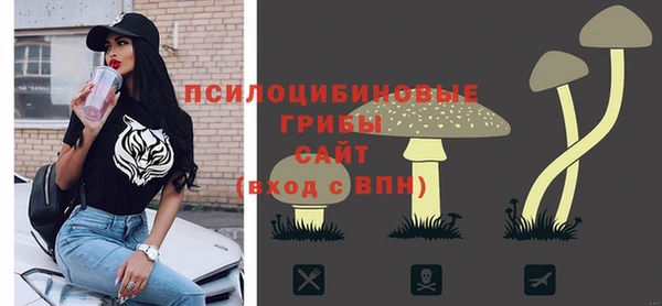 эйфоретик Аркадак