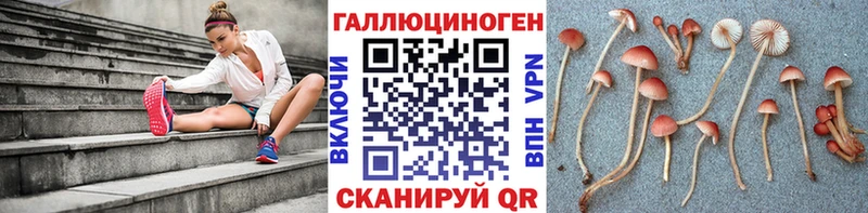 Галлюциногенные грибы Psilocybe  мега зеркало  Гулькевичи 